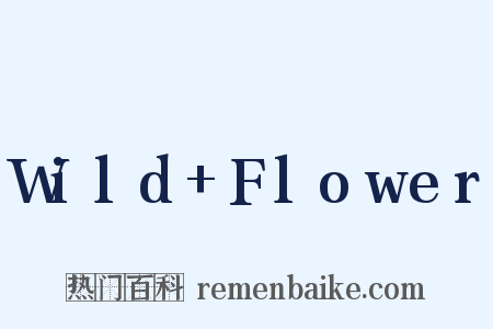 Wild Flower是什么意思的图片